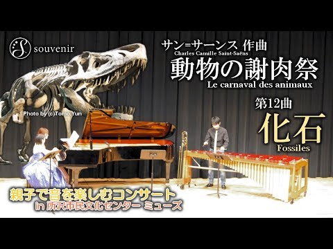 【マリンバ生演奏】組曲『動物の謝肉祭』より「化石」 (サン＝サーンス)