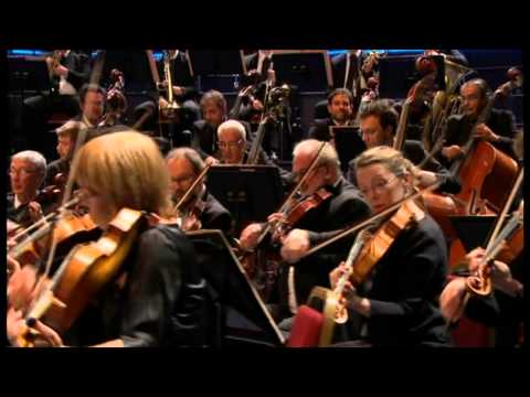 Saint-Saëns - Symphony No 3 in C minor, Op 78 - Järvi