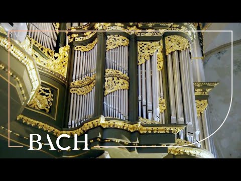 Bach - Fantasia and fugue in G minor BWV 542 - Van Doeselaar | Netherlands Bach Society